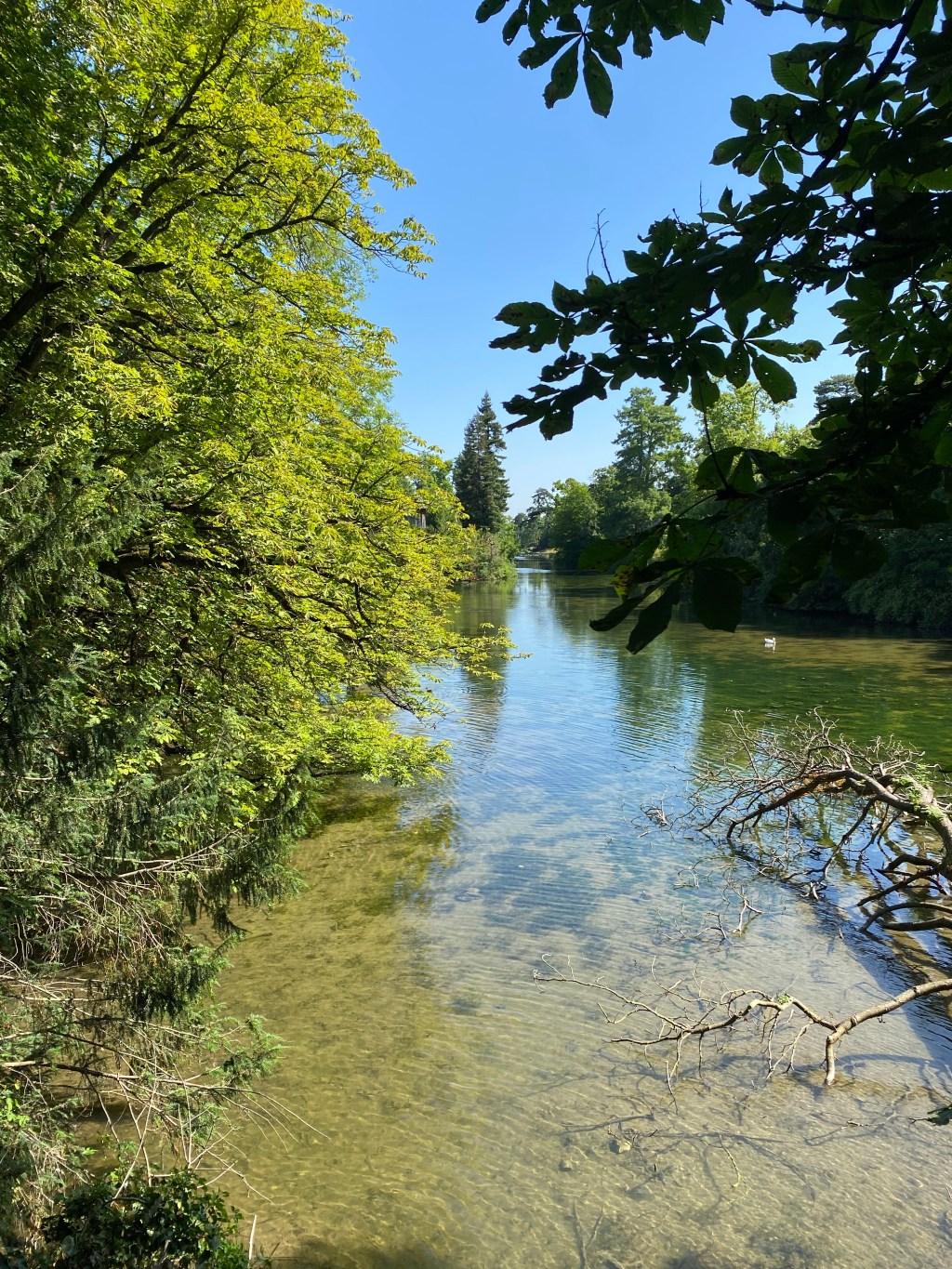 Being host, arrogance and&nbsp;growth